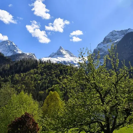 Apartament 2 Zimmerwohnung Mit Kueche U. Bad *